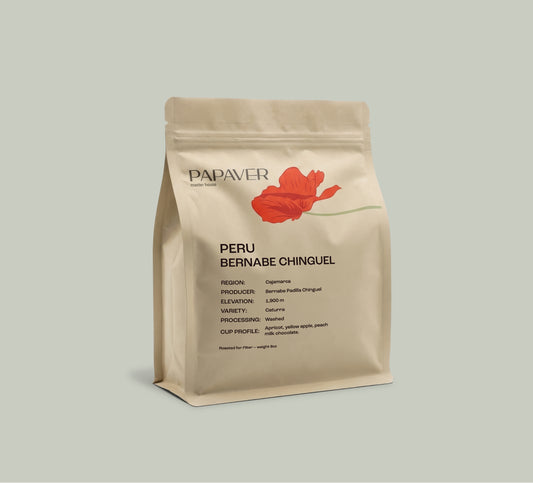 PERU BERNABE CHINGUEL